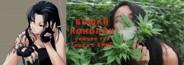 СК Арсеньев