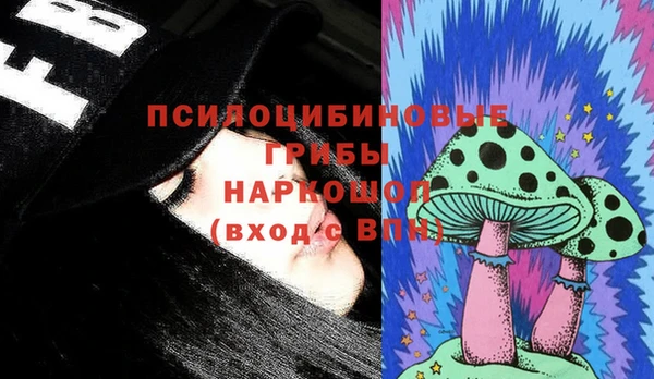 крисы Аркадак