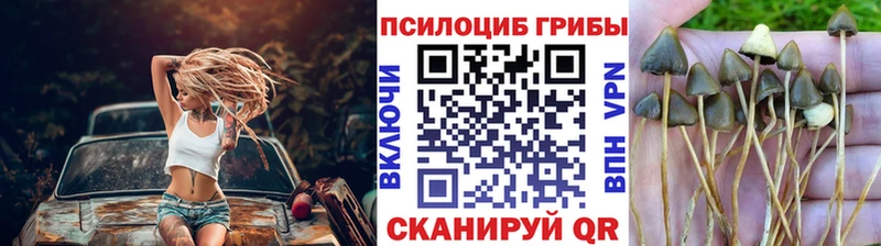 Галлюциногенные грибы Psilocybine cubensis  Дюртюли 